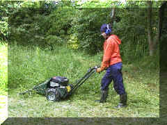 sicklebar mower