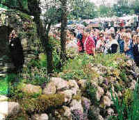 DBN Planted and supplied many of the wall loving wildflowers for an award winning Chelsea Gold Medal Garden