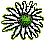 Visit our shop to purchases this seed mixture